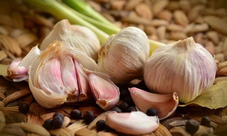 Чесънът бори инсулти и инфаркти - Tribune.bg