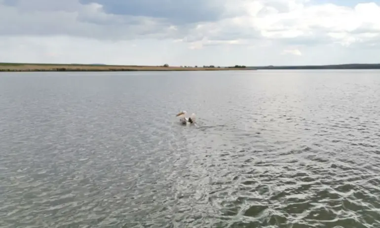 Заради валежите, денонощно следят язовирите - Tribune.bg