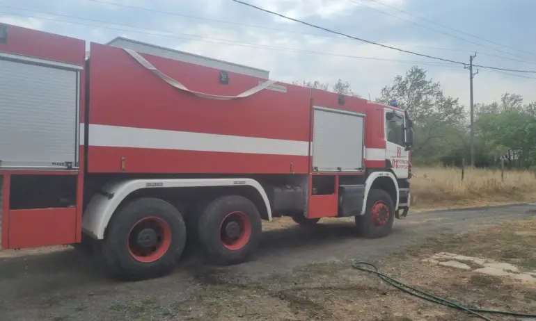 Близо 300 декара широколистна гора е изгоряла при пожара близо до българо-турската граница - Tribune.bg