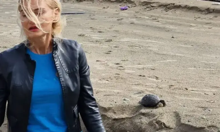 Летвата е ниско: За да станел Милошев добър министър на туризма, било достатъчно да не убива костенурки - Tribune.bg