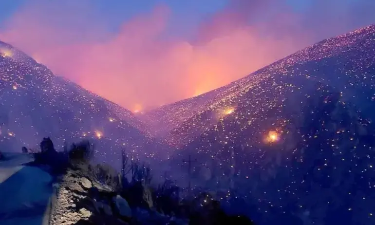 Ограничен е масивният горски пожар в Гърция - Tribune.bg