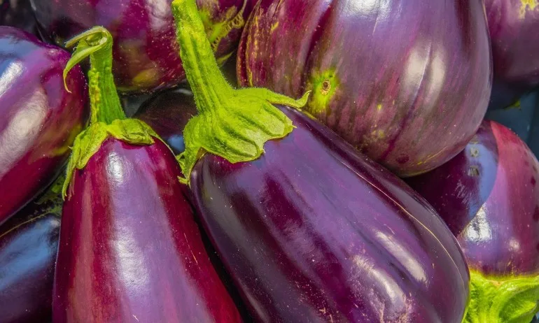 Полезни свойства на патладжана - Tribune.bg