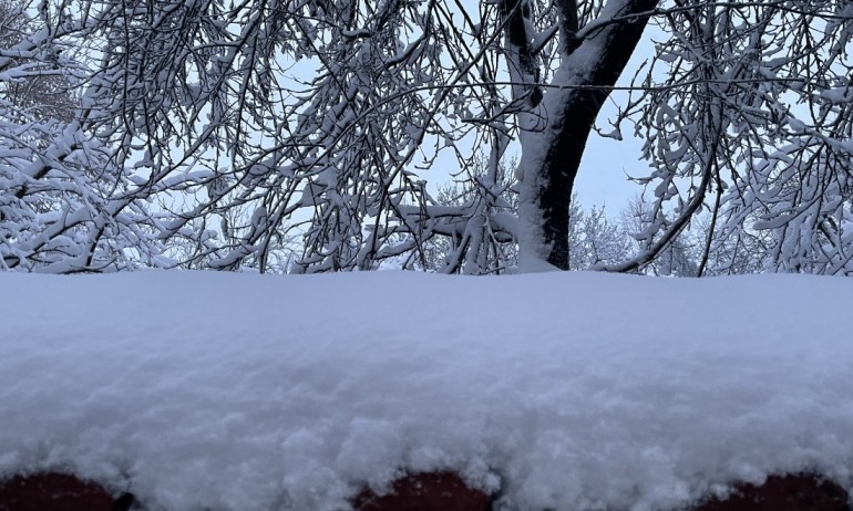 Жълт код за снеговалежи е в сила за шест области в страната - Tribune.bg