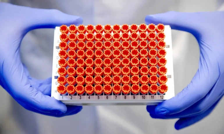 Нисък остава процентът заразени: 560 са новите случаи на коронавирус у нас - Tribune.bg