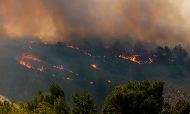 Над 40 жертви на смъртоносните горски пожари в Средиземноморието - Tribune.bg