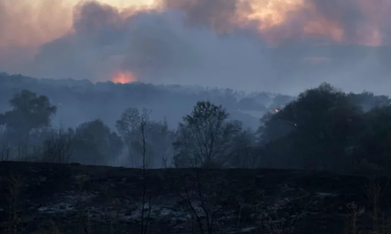 Голям пожар в община Харманли, в гасенето участват повече от 60 пожарникари - Tribune.bg