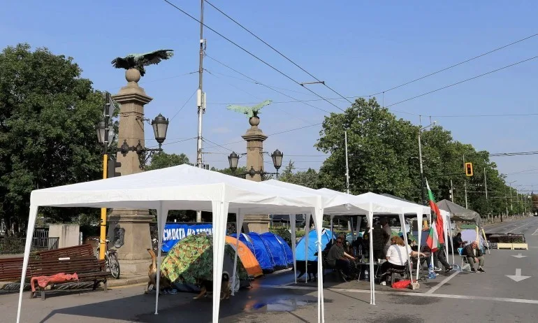 Пияни протестиращи се сбиха на Орлов мост - Tribune.bg