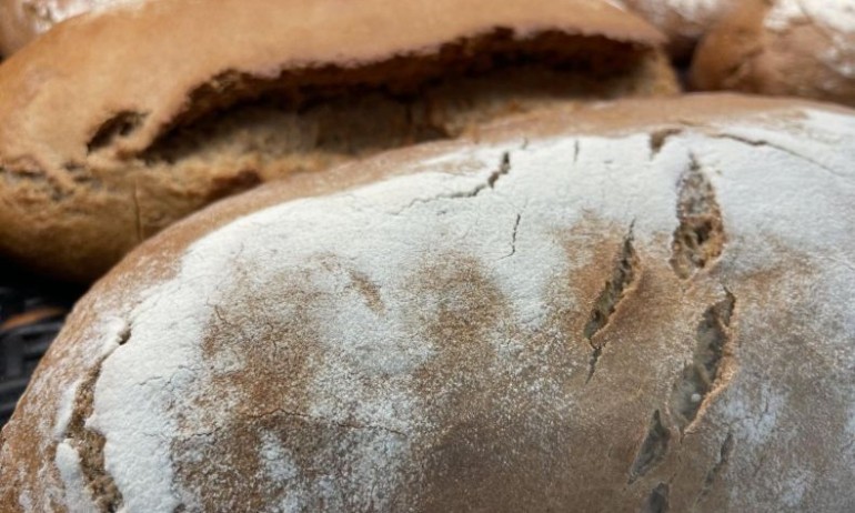 Хлебопроизводители: Никой не обръща внимание на исканията ни, браншът е пред фалит - Tribune.bg