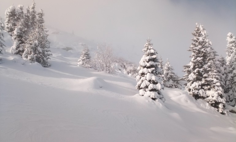 Лавина затрупа частично скиор в Рила - Tribune.bg
