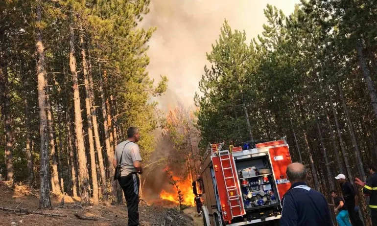 Гори районът на Мусаленската пътека в Рила, вертолет облива от въздуха - Tribune.bg