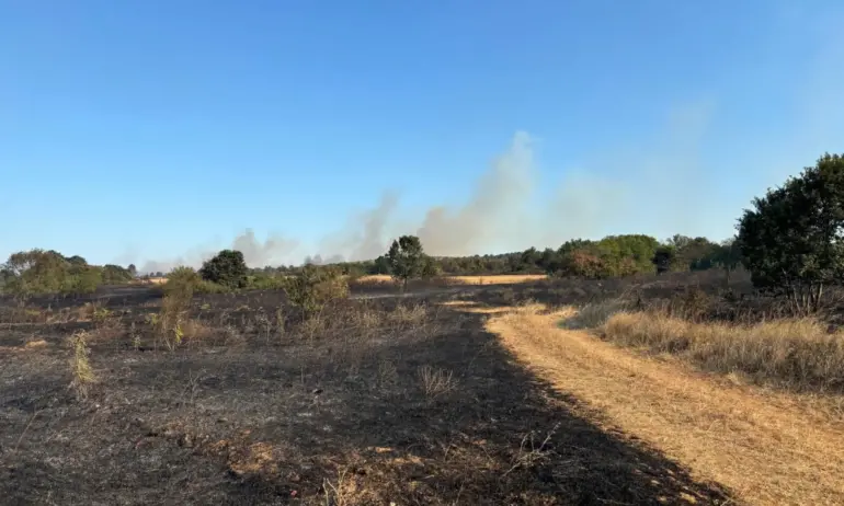 Забраняват косенето на трева и храсти в цялата страна - Tribune.bg
