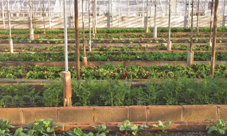 Производители алармират: 10 000% надценка на водата за земеделците, назряват протести - Tribune.bg