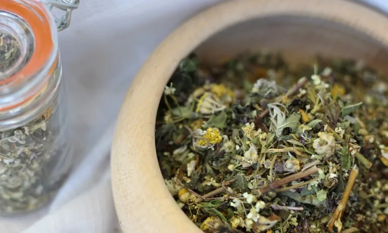 Лечението с пелин изчиства болестите - Tribune.bg