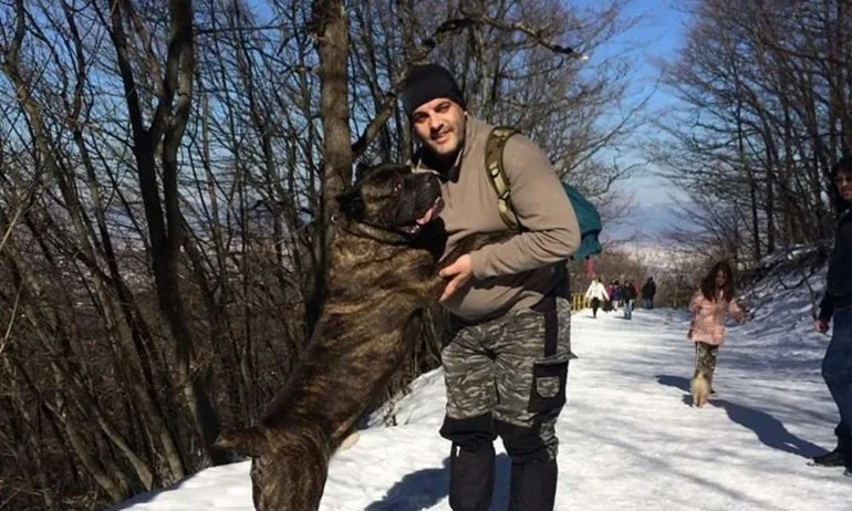 И окръжният съд остави собственика на кучетата-убийци в ареста - Tribune.bg