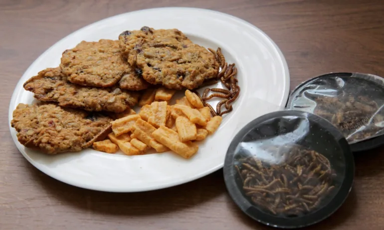 БАБХ: Няма специални изисквания към продукти с насекоми, трябва да са обявени на латински език на етикета - Tribune.bg