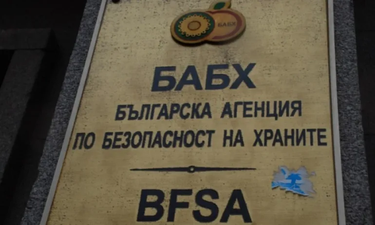 БАБХ започна проверки на всички ферми за кокошки носачки - Tribune.bg