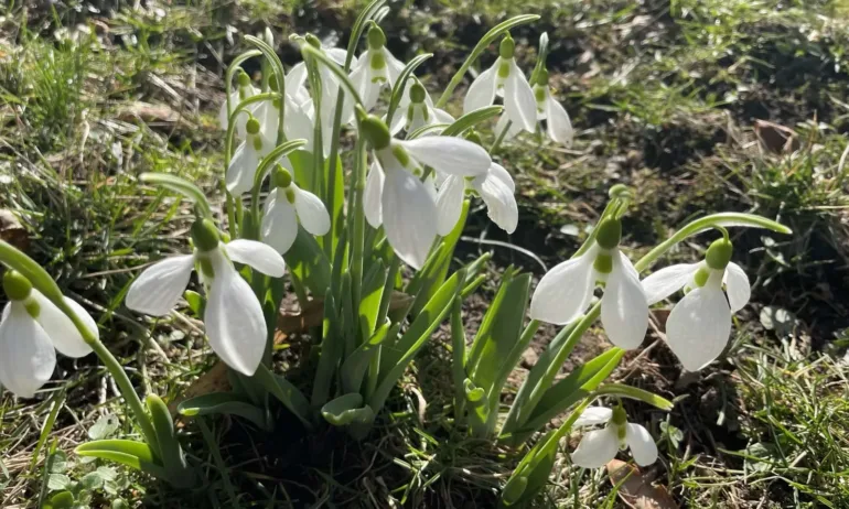 Времето днес: Силен вятър и високи температури - Tribune.bg