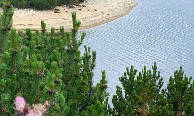 Пет варненски язовира в рисково състояние - Tribune.bg