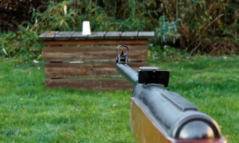 Газов пистолет и въздушни пушки, преработени на бойни бяха открити в дома на мъж - Tribune.bg