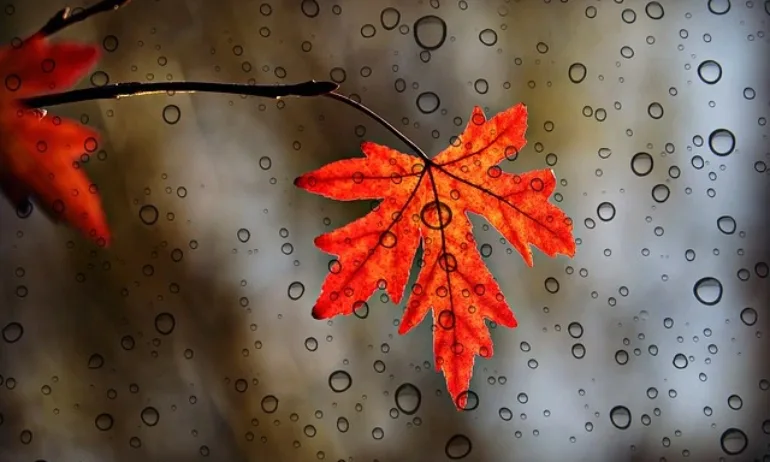 Слънцето се скрива, идва дъжд и захлаждане - Tribune.bg