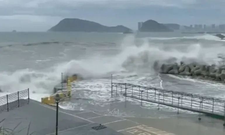 Тайфун в Южна Корея, 20 хиляди жилища са без електричество (ВИДЕО) - Tribune.bg