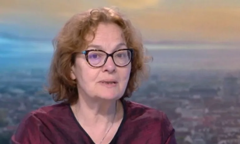 Проф. Румяна Коларова: Работата на комисията в НС е предизборна кампания - Tribune.bg