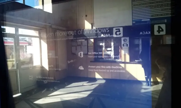 Депутатка от ДБ скочи на Събев: Известен като Ник, но депутатите не сме го виждали - Tribune.bg