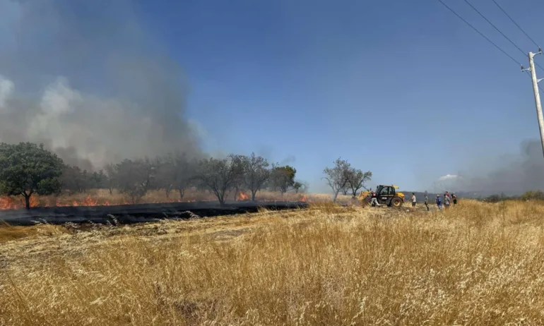 Потушиха пожара край Българово - Tribune.bg