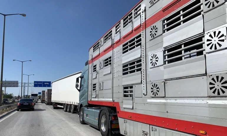 МВР: Турция е въвела ограничение за шофьори на камиони, идващи от рискови страни - Tribune.bg