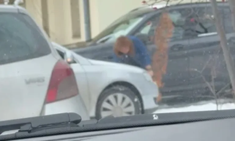 Жена изтръгва млади дръвчета, за да си направи място за паркиране в София (ВИДЕО) - Tribune.bg