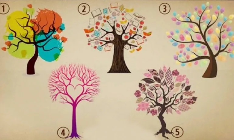 Изберете дърво и то ще ви покаже какъв човек сте - Tribune.bg