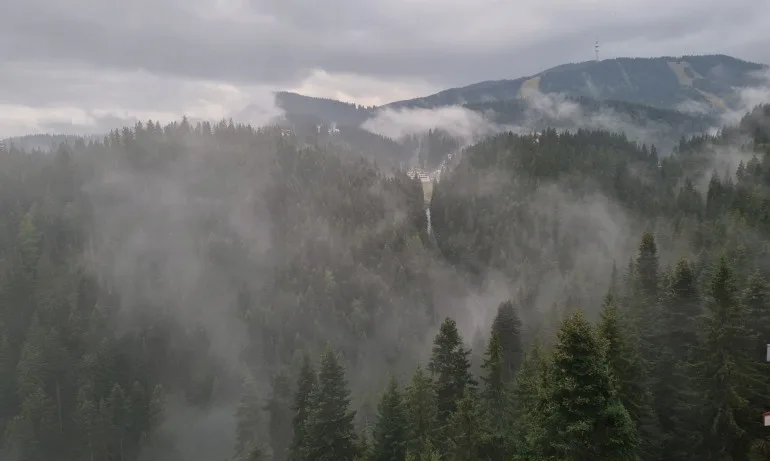 Опасно време и днес: Жълт код, силен вятър и опасност от лавини - Tribune.bg