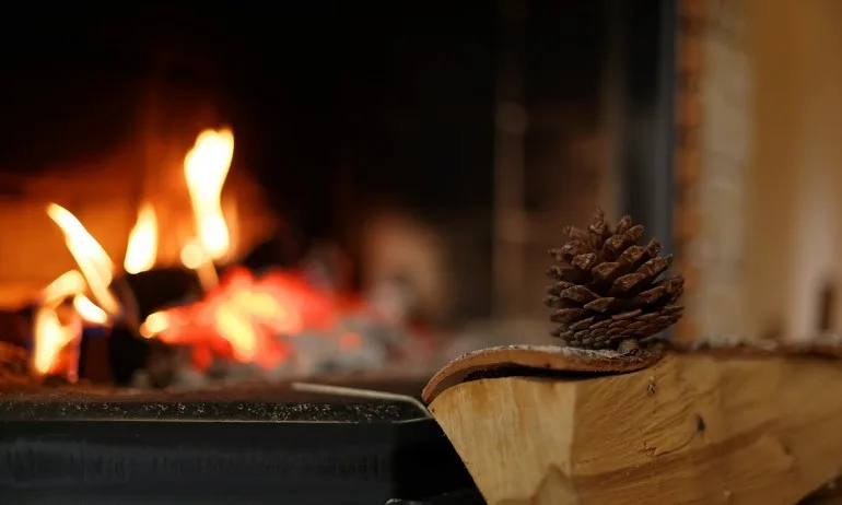 Монитор: Люта зима докарва режим на тока - Tribune.bg