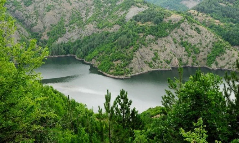 11 организации с отворено писмо, подкрепят промените в Закона за биологичното разнообразие - Tribune.bg