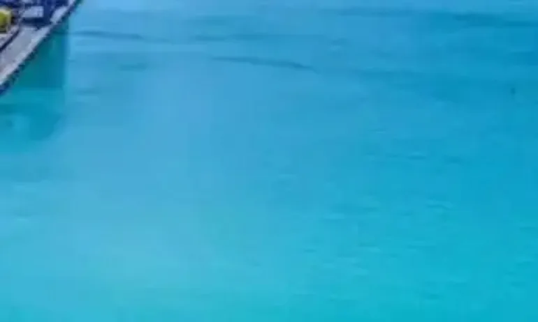 Адемов иронично: Вижте седемте танкера, които договори най-успешно провалилият се премиер Кирил Петков - Tribune.bg