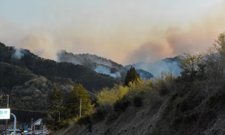 Горски пожари в Япония: евакуирани над 3000 души - Tribune.bg