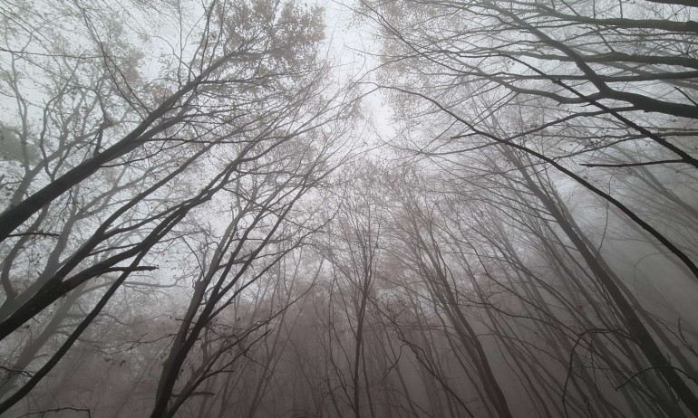 Облачно със слаби превалявания - Tribune.bg