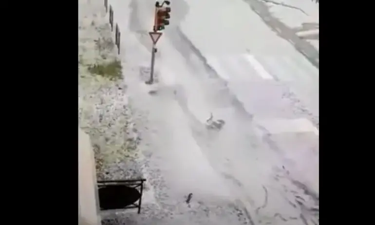 Видео показва щетите от мощната буря със силна градушка, която