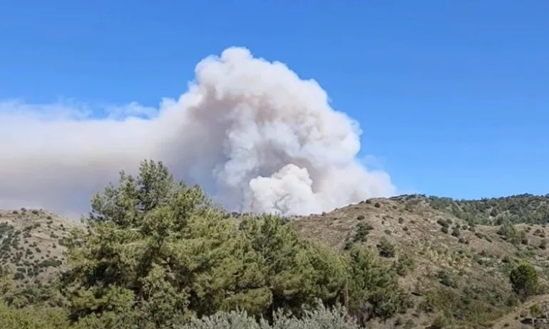 Израел изпрати помощ на Кипър за гасенето на пожарите - Tribune.bg