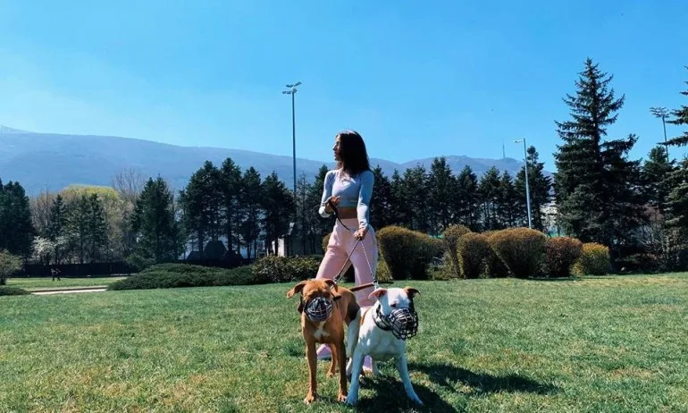 Моите кучета са с намордници, не защото са лоши… - Tribune.bg