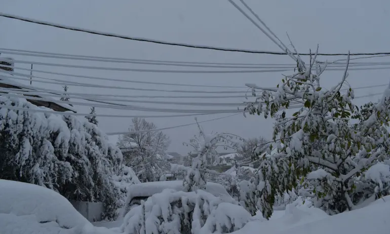 Под 500 хиляди абонати в цялата страна са без ток - Tribune.bg