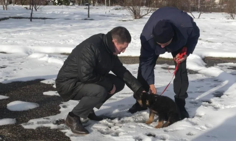 МВР-министърът се запозна с условията за обучение на служебни кучета в Берковица - Tribune.bg