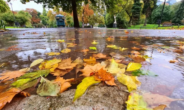 Облачността намалява и градусите скачат до 18 - Tribune.bg