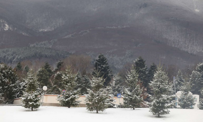 След мразовита сутрин – през деня до 5 градуса - Tribune.bg