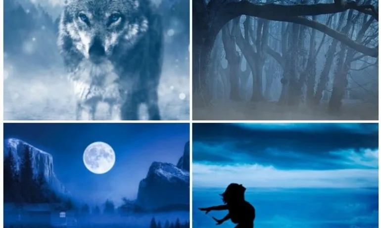 Каква е вашата духовна мисия на Земята? - тест - Tribune.bg