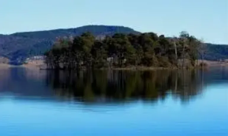 Еколози: Вече над 100 дни язовир Батак се източва всекидневно - Tribune.bg