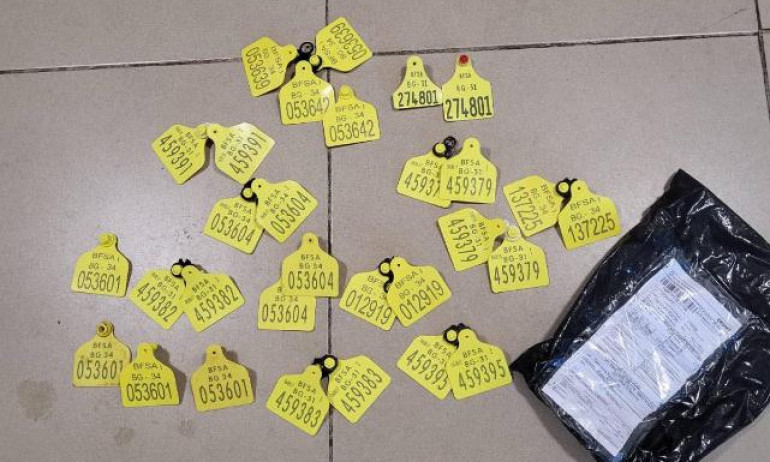 8 задържани при мащабна акция за злоупотреба с евросредства - Tribune.bg