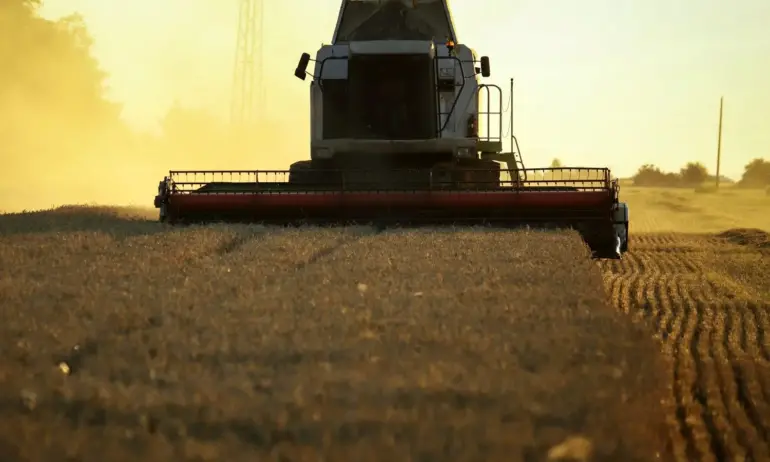 Фючърсите на пшеницата, търгувани на Чикагската фондова борса, се повишиха