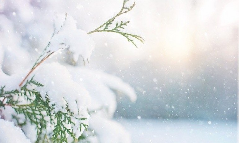 Валежи от сняг и ниски температури ни очакват днес - Tribune.bg