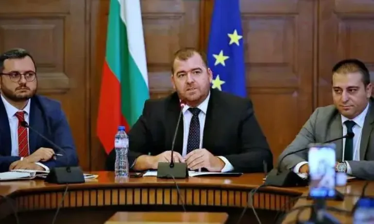 Земеделското и правосъдното министерства обмислят лишените от свобода да работят в дърводобива - Tribune.bg